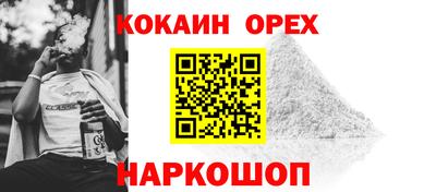 ешки Кингисепп