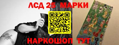 стаф Кандалакша