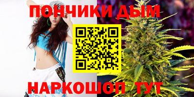мдпв Камышлов
