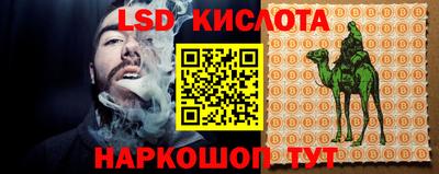 стаф Кандалакша