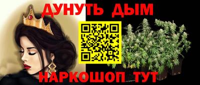 мдпв Камышлов