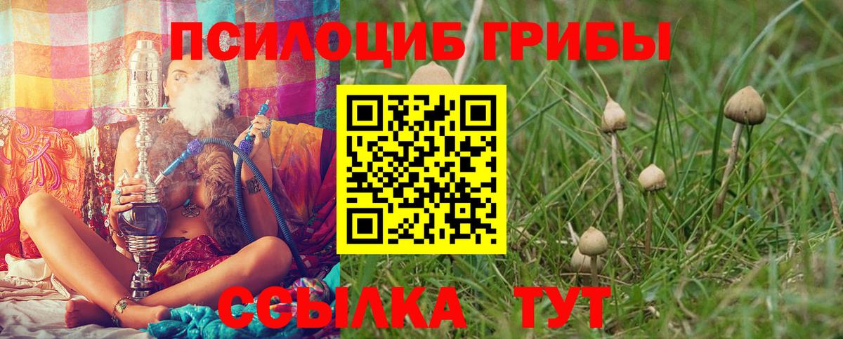 Псилоцибиновые грибы MAGIC MUSHROOMS  Вход с VPN  Кострома  Псилоцибиновые грибы Cubensis 